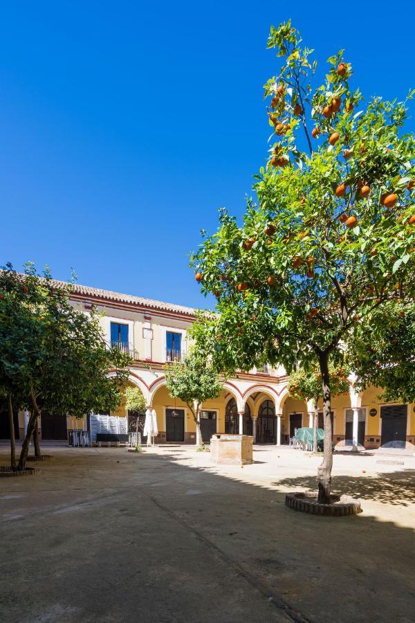 Apartamento Historico Garaje Y Wifi Sanlúcar de Barrameda Eksteriør billede